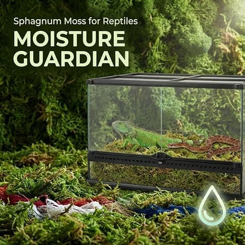 Sukh Sphagnum Moss for Reptiles & Plants - Terrarium Moss Substrate, 5oz | Habitat Bedding for Gecko, Snake, Turtle, Frog, Bearded Dragon, Jumping Spider, Chameleon, Enclosure & Tank Accessories Decor thumbnail 8