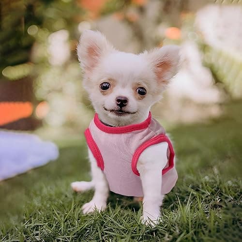 4 Pieces Chihuahua Clothes Dog Clothes for Small Dogs Girl Puppy Shirts for Yorkie Soft Cute Pattern Dog Shirt Pet Cat Clothing Pink (XX-Small) thumbnail 8