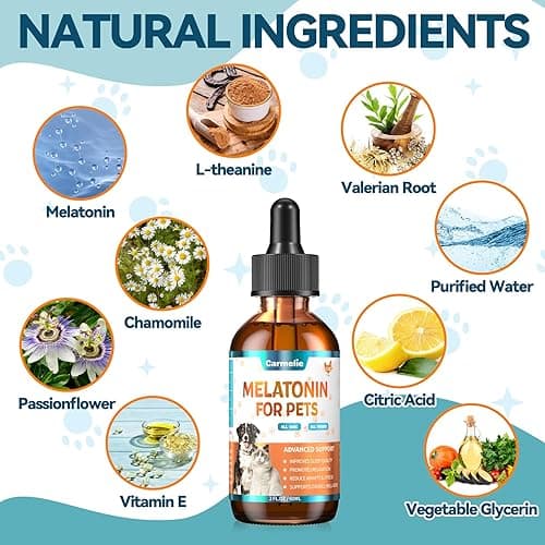 Melatonin for Pets, Dog Melatonin, Dog Sleep Supports, Liquid for Cats, Supports Relaxation Dogs & Cat, Calm Behavior in Dogs, Helps Restful Sleep, Chicken Flavor 60ml thumbnail 3