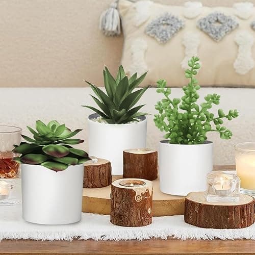 Hopewood Succulent Plants Artificial in White Pots Small Faux Potted Succulents Fake Plants in Vase Set of 3 thumbnail 8
