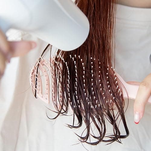 FRAMAR Flex Detangling Hair Brush – Wet Hair Brush For Women, Hairbrush Women, Wet Detangler Brush For Curly Hair, Hair Brush For Blow Drying, Curly Hair Brush, Brosse a Cheveux – Vented Champagne thumbnail 5