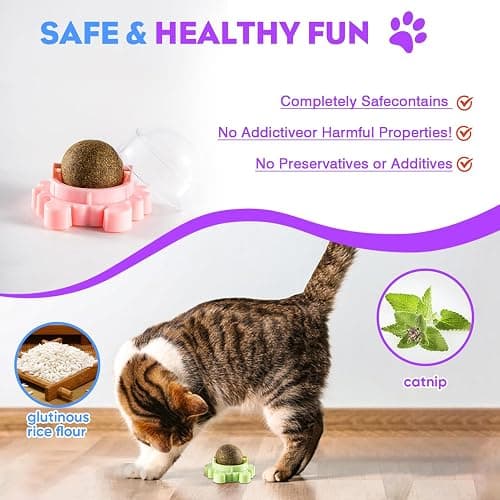 Kadays Catnip Balls for Indoor Cats 4 Pack Wall Mounted Rotatable Cat Toys Teeth Cleaning and Stress Relief Adhesive Catnip Stick on Wall Toys Interactive Chew for Kittens Play Entertainment thumbnail 6