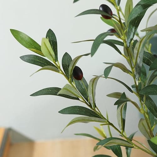 LOMANTO Artificial Olive Trees, 6 ft Tall Fake Olive Trees for Indoor, Faux Olive Silk Tree, Large Olive Plants with White Planter for Home Decor and Housewarming Gift, 1 Pack thumbnail 5