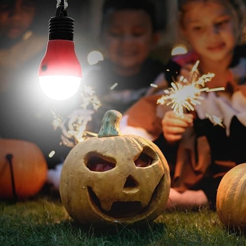 EverBrite 3-Pack Camping Lights - 3 Lighting Modes, Portable LED Bulbs Ideal for Kids’ Adventure Activities, Backpacking, Camping, Picnic, Emergency and More, 3 x AAA Batteries Included thumbnail 7