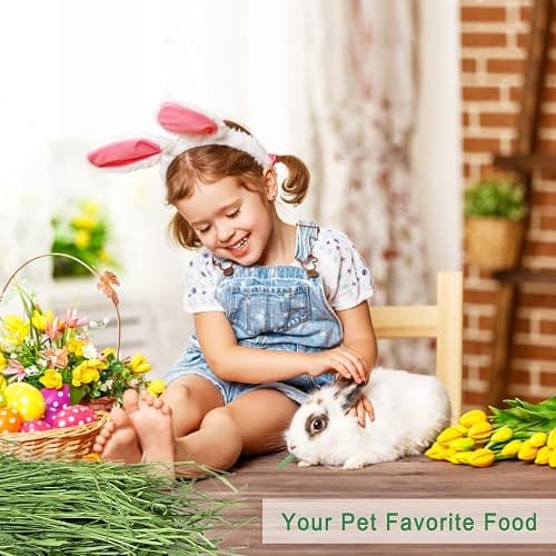 Ohcool Timothy Hay Premium Hay for Rabbits Guinea Pig Chinchilla- Natural Fresh Hay Hand Selected 6.6LBS (1.1lbs, 6 Pack) thumbnail 4