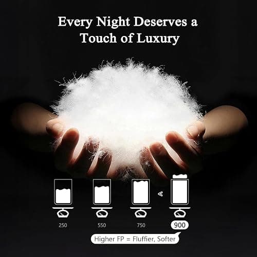 DWR Superior Luxury Feather Down Comforter Queen Size, Ultra-Soft Rose-Silk Cotton Blend Fabric, High FP All Season Medium Warmth Bed Duvet Insert(90"x90", White) thumbnail 5