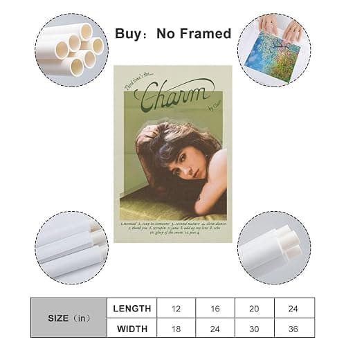 DJCN RBV Charm Clairo 3 Canvas Poster Wall Decorative Art Painting Living Room Bedroom Decoration Gift Unframe-style12x18inch(30x45cm) thumbnail 2