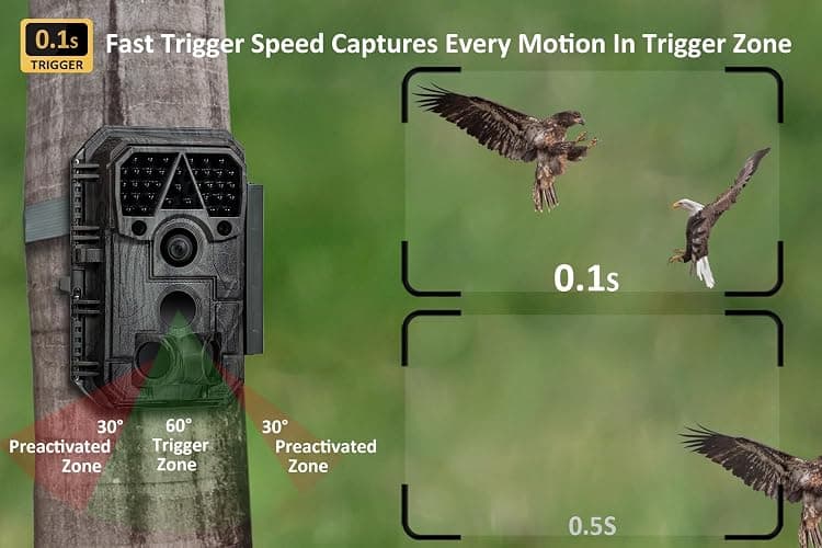Meidase P70 Trail Camera, 64MP 1296p, Game Cameras with No-Glow IR Night Vision, Motion Activated, Waterproof for Wildlife Deer Cams, Hunting thumbnail 4