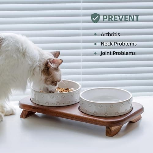 Havniva Ceramic Cat Food Bowl, 6.1" Raised Cat Bowls with Acacia Wood Stand | Elevated Cat Bowls, Whisker Friendly, Extra Wide Opening, Aesthetic Cat Dishes, Elegant Pet Bowls, Food-grade Ceramic, Kitten thumbnail 7