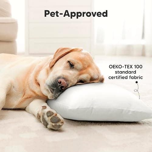 KeaBabies 2pk Toddler Pillows 2 Year Old to 5,13x18 Kids Pillow(Soft White) | Soft Organic Cotton Kids Pillow for Sleeping, Travel, School, Daycare, Nap, Toddler Bed, Machine Washable, Without Pillowcase thumbnail 8
