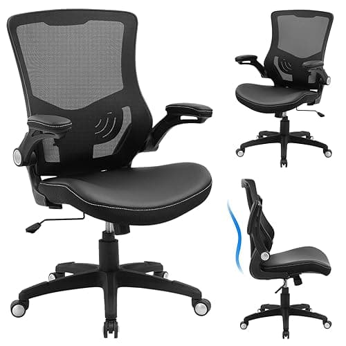 Ergonomic Office Chair