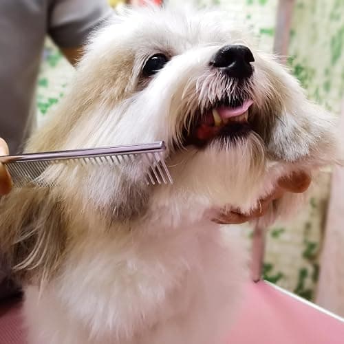 FAIGEO Dog Grooming Scissors with Safety Round Tips Stainless Steel Professional Dog Grooming Kit - Thinning, Curved Scissors and Comb for Cat Pet (Pink 4 in 1) thumbnail 6