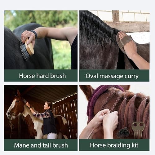 TERPUP Horse Grooming Kit 13 Piece, Horse Brushes for Grooming Supplies Set with Organizer Bag, Horse Brush & Curry Comb for Effective Cleaning, Gift for Horses Riders Beginners thumbnail 7
