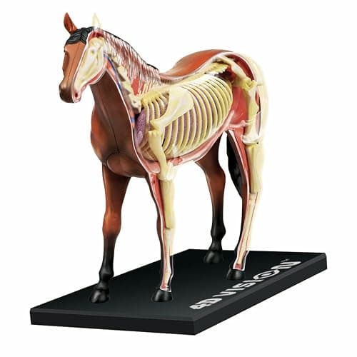 Tedco 4D Vision Horse Model - Image 1