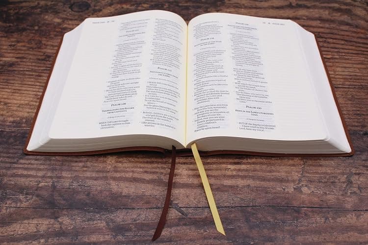 Amplified Journal the Word Bible, Leathersoft, Brown: Reflect, Take Notes, or Create Art Next to Your Favorite Verses thumbnail 6