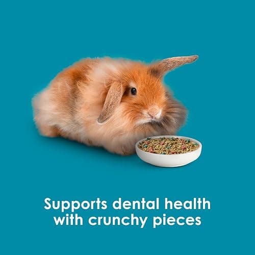 Kaytee Forti-Diet Pro Health Nourish+Protect Adult Rabbit Food, Comprehensive Nutrition Backed by Science, Digestive Health, Immune Support, 5 pounds thumbnail 8