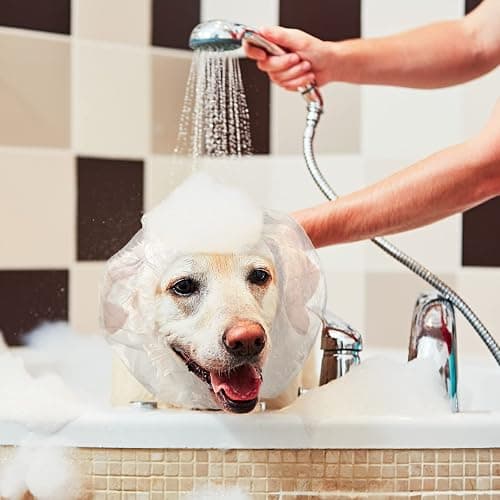 Weewooday 32 Pieces Disposable Pet Shower Caps - Plastic Dog Ear Covers for Bathing, Drops, Guard - Transparent Overhanging Ears Protection for Puppy, Kitten, Small Pets Bath, Shower, Rain Water thumbnail 5