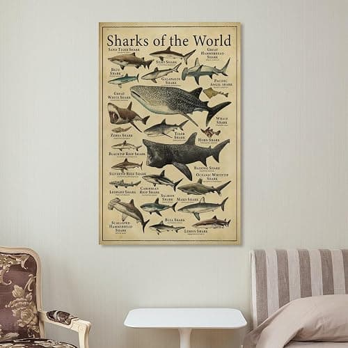 CYPGTBCK Types of Shark Poster Shark Knowledge fishing Education fish Canvas Art Poster And Wall Art Picture Print Modern Family Bedroom Decor Posters 12x18inch(30x45cm) thumbnail 7