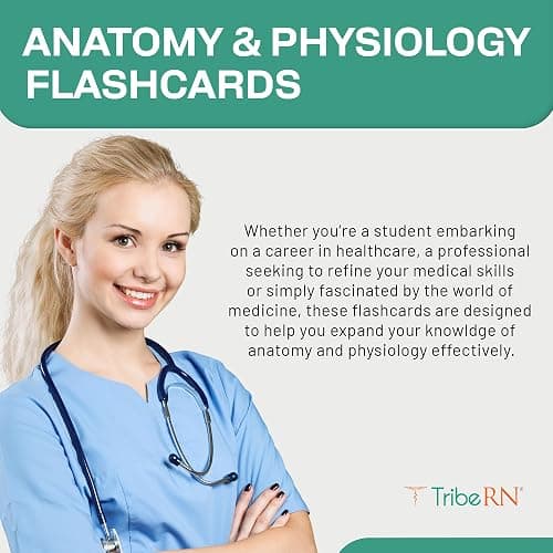 TribeRN Anatomy and Physiology Flash Cards – 320 Study Resources for Students – Human Anatomy & Physiology Study Tools – Medical, Nursing School Essentials – Durable & Easy to Use Flashcards thumbnail 4