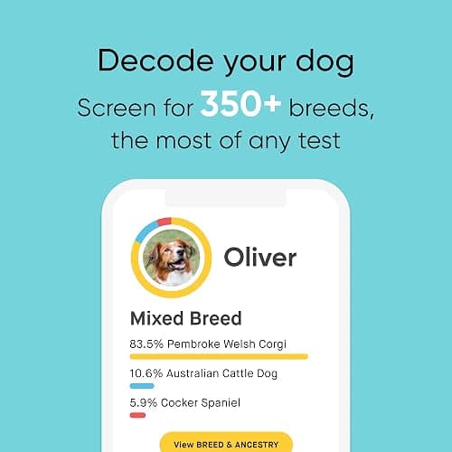 Embark Breed Identification Kit - Most Accurate Dog DNA Testing Kit - 99% Breed Ancestry Accuracy for Mixed Breed Dogs - Plus Relative Finder & Family Tree thumbnail 2