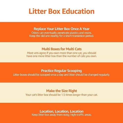 Amazon Basics No-Mess Hooded Cat Litter Box, Standard, Multicolor, 21 in x 16 in x 15 in thumbnail 7