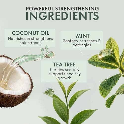 Leave In Conditioner Spray - Tea Tree Scalp Treatment - Anti-Dandruff and Dry & Itchy Scalp Treatment, Hydrating & Medicated Formula for Psoriasis and Scalp Care - Detangles & Nourishes Hair. thumbnail 4