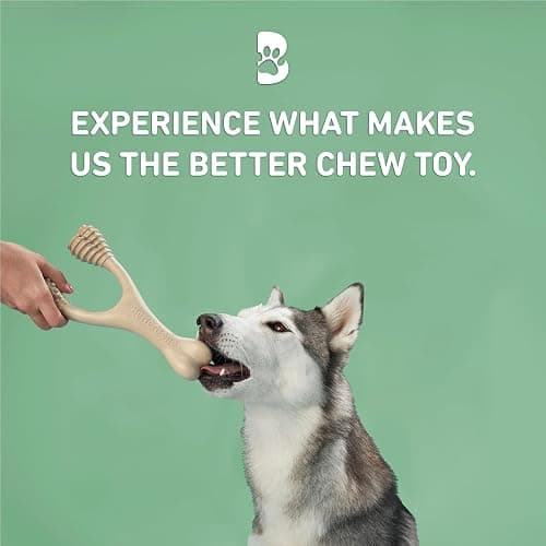 BetterBone - Medium Density - Ideal for Moderate to Strong Chewers - All-Natural, Nylon-Free Dog Chew Toys - Non-Toxic, Promotes Dental Health, Splinter-Resistant, Sustainably Made thumbnail 3