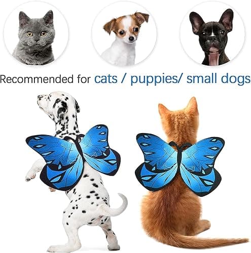 Pet Cat Bat Wings for Halloween Party Decoration, Puppy Collar Leads Cosplay Bat Costume,Cute Puppy Cat Dress Up Accessories thumbnail 6