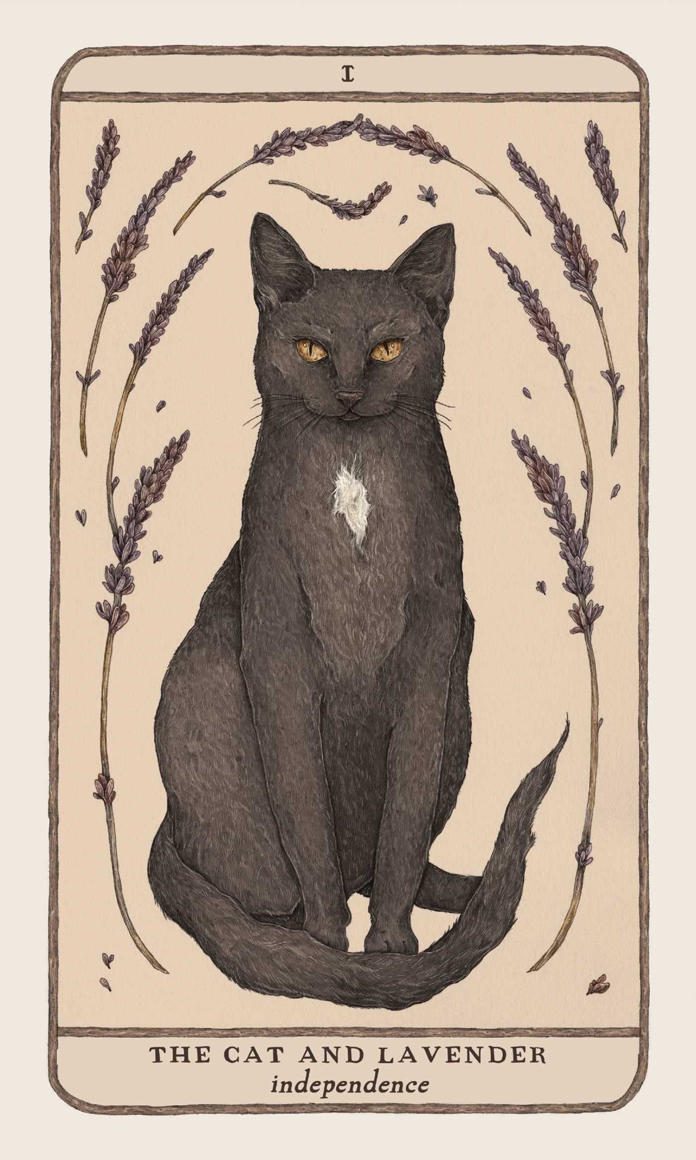 Woodland Wardens: 52-Card Oracle Deck & Guidebook thumbnail 4