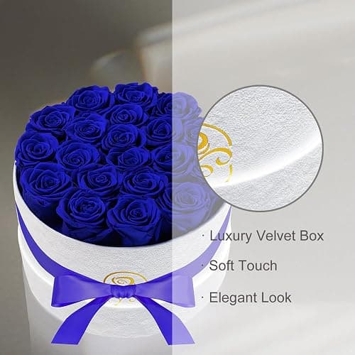 Preserved Roses Flower Box, Luxury Velvet Box with 20 Roses, Preserved Flowers, Romantic Gift for Her, Wife, Girlfriend, Birthday Anniversary Christmas (Royal Blue) thumbnail 5