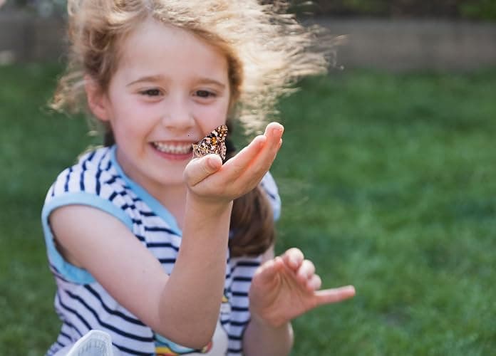 Insect Lore Butterfly Farm™  thumbnail 3