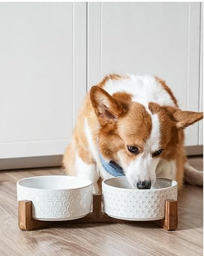 Dog Bowls Ceramic for Small Medium Dogs - 3-Cup Dual Food & Water Bowl Set with Acacia Wood Stand, Non-Slip Anti-Tip Elevated Design thumbnail 7