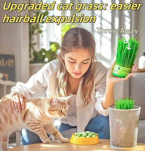 GREMBEB 60g/2.12oz Cat Toy Cats Grass Treats, Fish Oil Kitten Grass Catnip Stick for Hairball Removal Teeth Cleaning Cats Edible Freeze Dried Kitty Lickable Chew Dental Snack for Indoor Kitty Food thumbnail 2