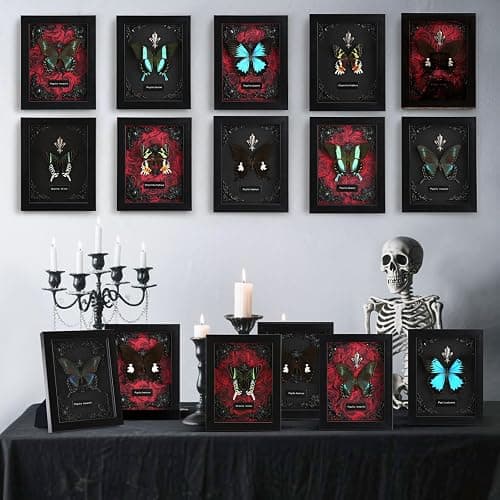 Real Framed Butterfly Taxidermy - Shadow Box, Real Framed Butterfly in a Box for Gothic Home Decor Aesthetic (B_Alpine Black Swallowtail Black Background #1) thumbnail 6