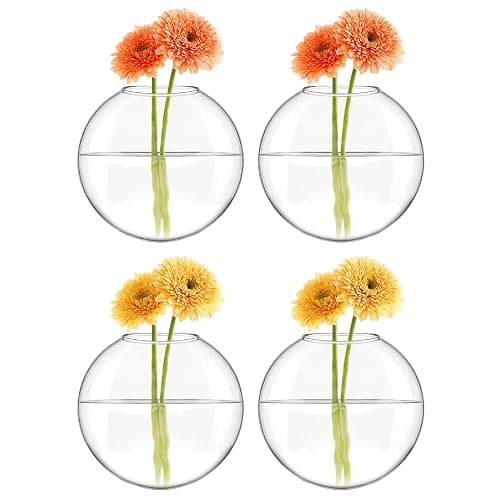 Mkono Wall Hanging Planter Propagation Station Glass Flower Vase for Hydroponics Plants, Bathroom, Home Office Living Room Decor Gift, Oblate Set of 4 thumbnail 4