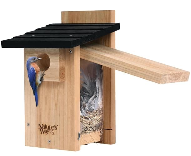 Nature's Way Bird Products CWH4 Cedar Bluebird Viewing House - Image 1