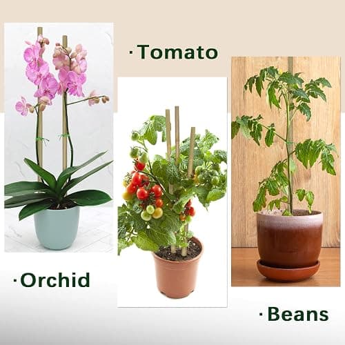 Plant Stakes,18 Inches Natural Garden Bamboo Sticks,BOVITRO 20Pcs Plant Support Stakes for Tomatoes,Beans,Vegetable and Potted Plants thumbnail 5