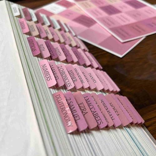 Catholic Bible Tabs, Reposition Laminated Stickers, Easy to Read and Apply Bible Tabs for Women and Man (Catholic Pink) thumbnail 4