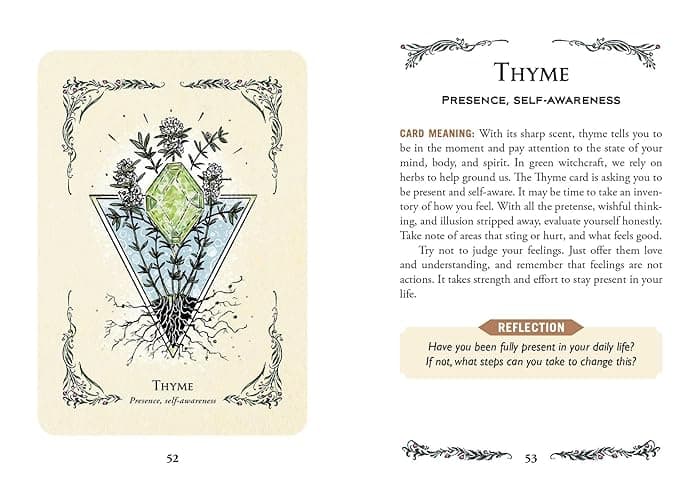 The Green Witch's Oracle Deck: Embrace the Wisdom and Insight of Natural Magic (Green Witch Witchcraft Series) thumbnail 9