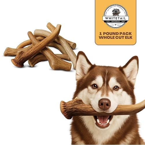 WhiteTail Naturals Deer Antlers for Dogs (1 lb Bulk Pack) Premium Antler Chews for Medium to Large Dogs – Grade A, Wild Sourced & Naturally Shed (Approx. 4-5 Count) thumbnail 8