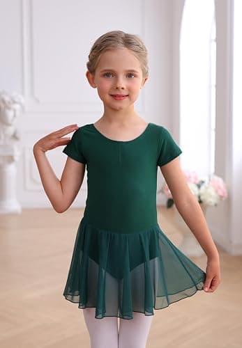 MdnMd Toddler Ballet Leotards for Girls Dance Leotards with Skirt Gymnastic Ballerina Outfit Dress Classic Short Sleeve thumbnail 3