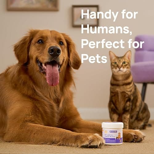 HICC Pet Teeth Cleaning Wipes for Dogs & Cats, Vet-Recommended Remove Bad Breath & Plaque & Tartar Buildup, Dog Tooth Brushing Kit, Dog Breath Freshener, Dogs Toothbrush & Toothpaste Alternatives thumbnail 7