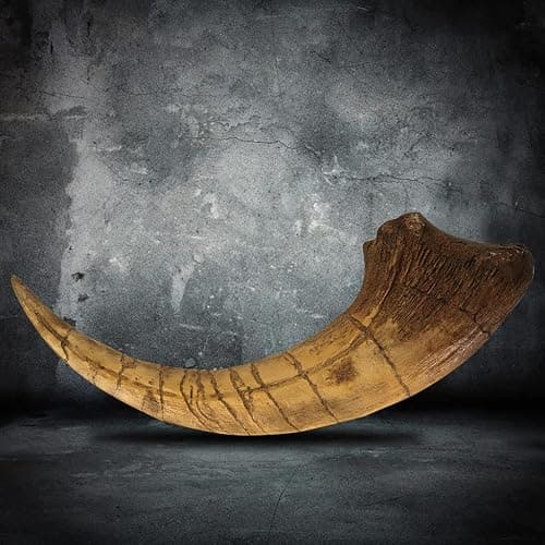 Fossilized Teeth and Claws of Various Prehistoric Dinosaurs, Megalodon Shark Teeth, and High-Fidelity Replicas (Megaraptor Claw) thumbnail 2