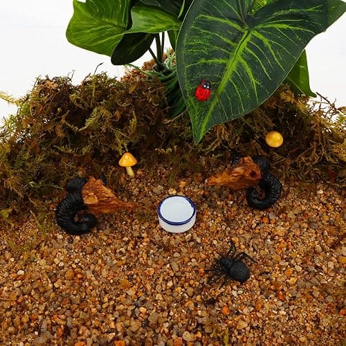 6 Pcs Spider Micro Water Bowl Mini Ceramic Dish for Spider Tarantula Millipede Tiny Reptile (Small: 0.86" D, 0.43" H) thumbnail 3