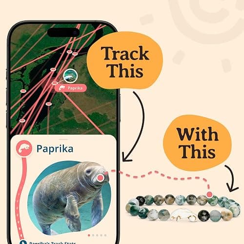 Fahlo Drift Manatee Tracking Bracelet, Clearwater Marine Aquarium, One Size thumbnail 7