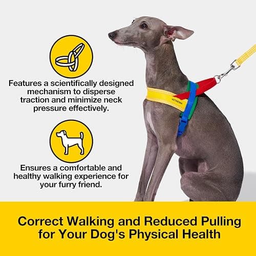 VETRESKA MoMA Dog Harness for Medium Large Dogs, Easy Walk Dog Harness and Leash Set, No Pull Dog Vest Harness for Walking and Training, Adjustable, Take Control & Anti-Twist Pet Lead Combo(Yellow, M) thumbnail 5