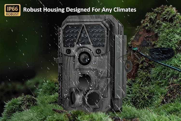 Meidase P70 Trail Camera, 64MP 1296p, Game Cameras with No-Glow IR Night Vision, Motion Activated, Waterproof for Wildlife Deer Cams, Hunting thumbnail 6