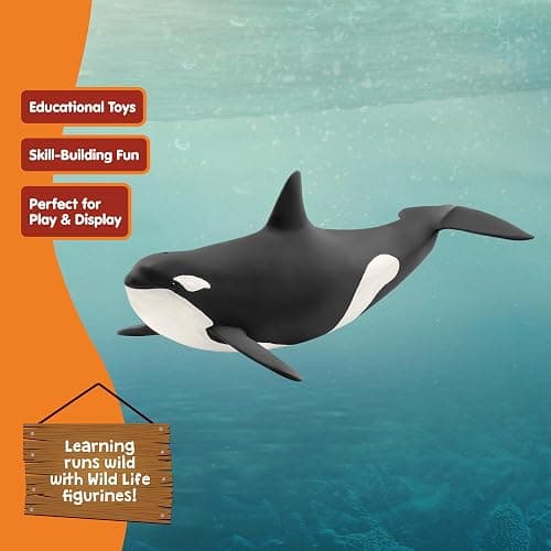 Schleich Wild Life, Animal Figurine, Animal Toys for Boys and Girls 3-8 Years Old, Killer Whale, Ages 3+ thumbnail 6