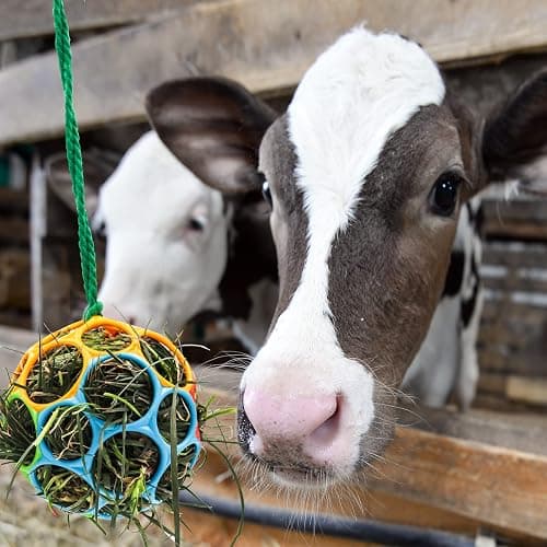 Besimple 2 Pack Horse Treat Ball Hay Feeder Toy, Goat Feeder Ball Hanging Feeding Toy for Horse Goat Sheep Relieve Stress (Colorful) thumbnail 3