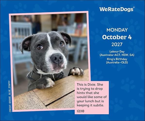 WeRateDogs 2027 Day-to-Day Calendar thumbnail 7